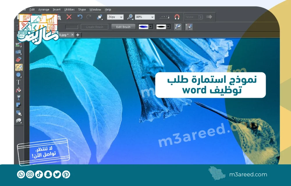 نموذج استمارة طلب توظيف word